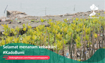 Gambar Kampanye