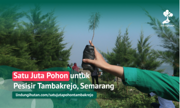 Gambar Kampanye