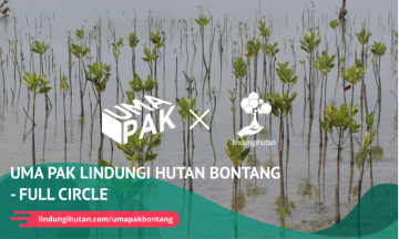 Gambar Kampanye