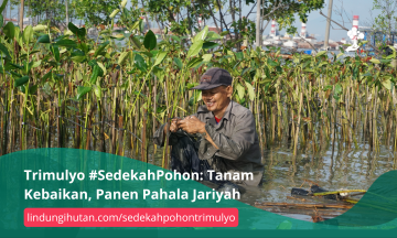 Gambar Kampanye