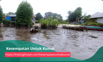 Gambar Kampanye