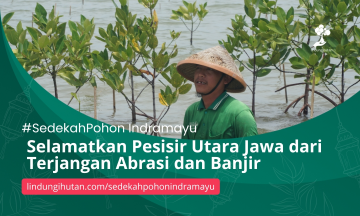 Gambar Kampanye