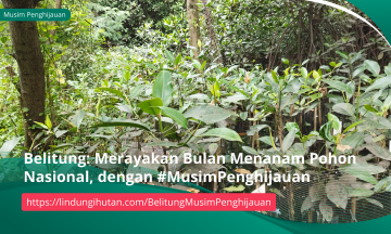 Gambar Kampanye