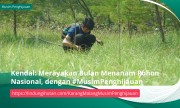 Gambar Kampanye