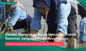 Gambar Kampanye
