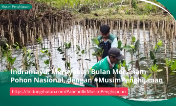 Gambar Kampanye