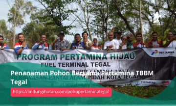 Gambar Kampanye
