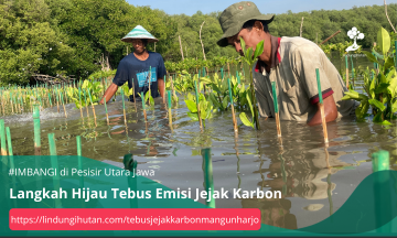 Gambar Kampanye