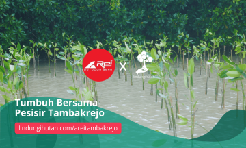 Gambar Kampanye