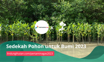 Gambar Kampanye