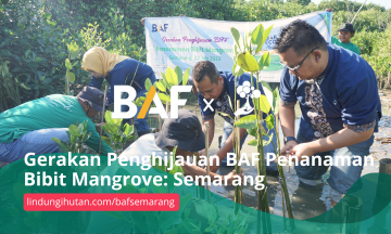 Gambar Kampanye