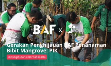 Gambar Kampanye