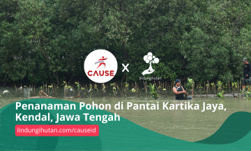 Gambar Kampanye