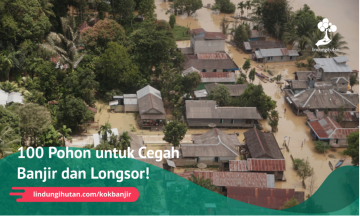 Gambar Kampanye