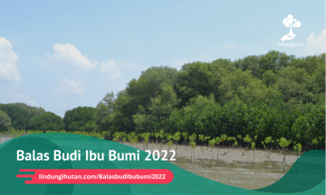 Gambar Kampanye