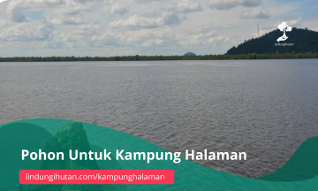Gambar Kampanye
