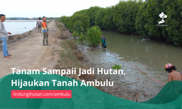 Gambar Kampanye