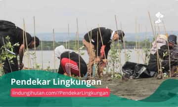 Gambar Kampanye