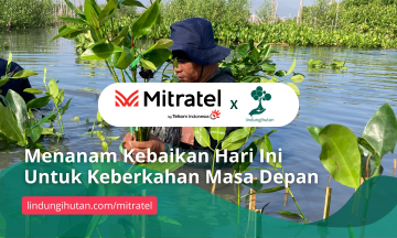 Gambar Kampanye