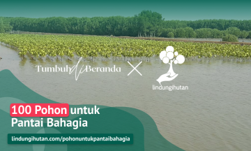 Gambar Kampanye