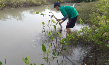 Gambar Kampanye