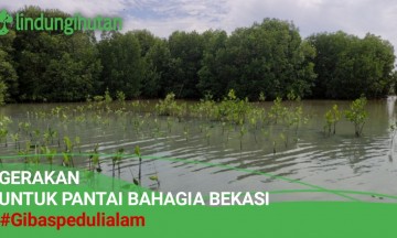 Gambar Kampanye