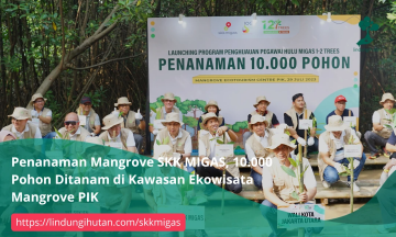 Gambar Kampanye