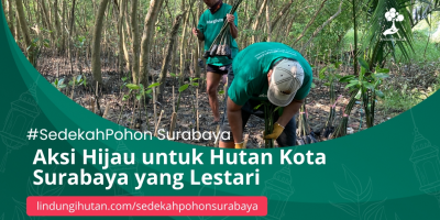 Gambar Kampanye