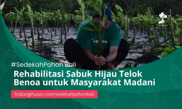 Gambar Kampanye