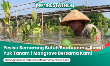 Campaign Satu Bibit, Sejuta Kebaikan: Reforestathon Pantai Mangunharjo, Semarang