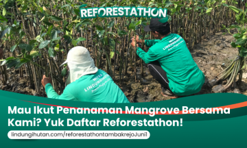 Campaign Reforestathon Semarang: Gerakan Bareng Hijaukan Pesisir Tambakrejo