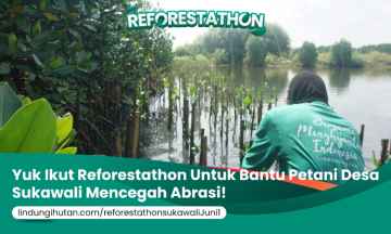 Campaign Reforestathon Sukawali: Komitmen Nyata untuk Alam Pesisir Tangerang