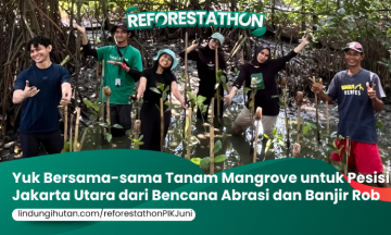Campaign Reforestathon Pantai Indah Kapuk: Alam Lestari, Hidup Berseri