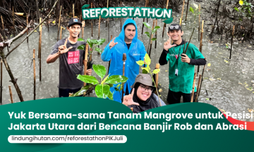 Campaign Reforestathon Pantai Indah Kapuk: Let's Green Up!