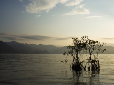 Gambar Kampanye