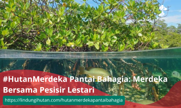 #HutanMerdeka Pantai Bahagia: Merdeka Bersama Pesisir Lestari
