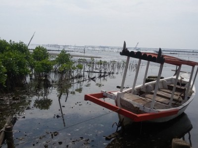 Gambar Monitoring