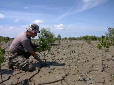 Gambar Monitoring