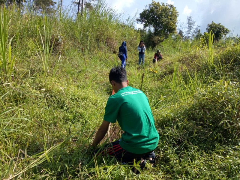 Gambar Monitoring