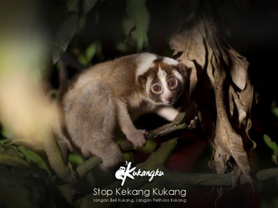 Gambar Monitoring
