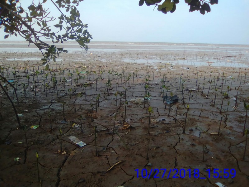 Gambar Monitoring