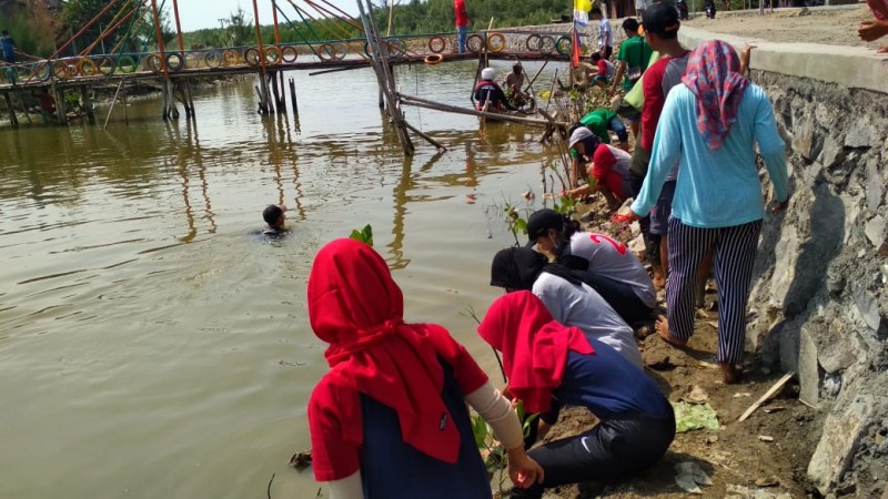Gambar Monitoring