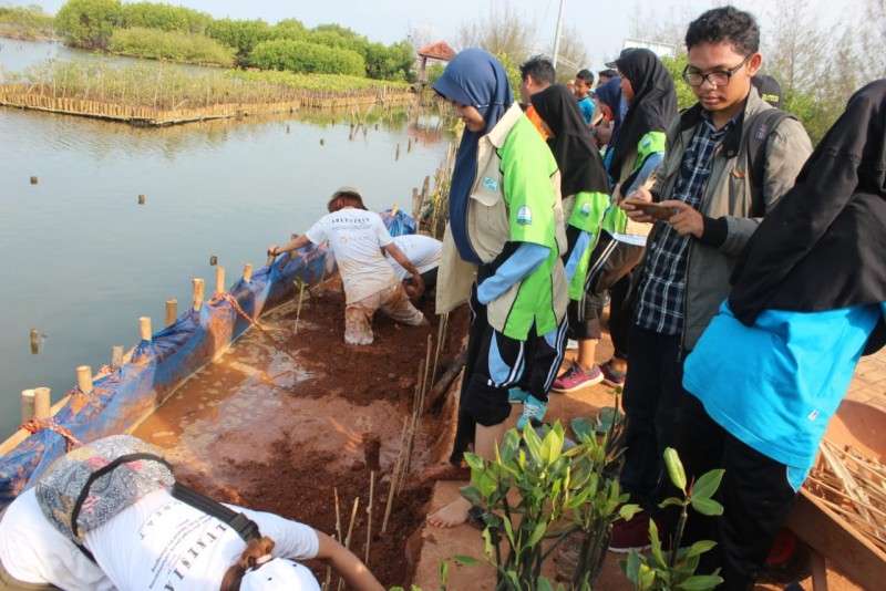 Gambar Monitoring