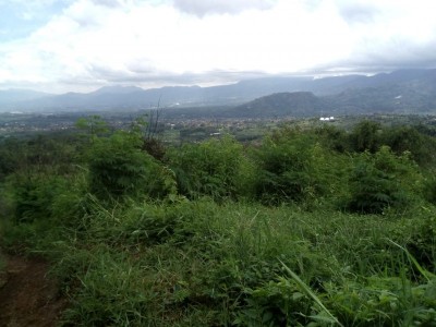 Gambar Monitoring