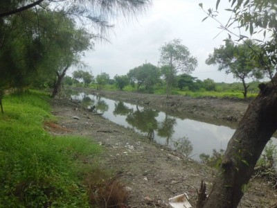 Gambar Monitoring