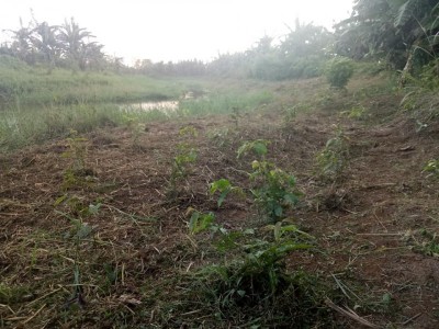 Gambar Monitoring