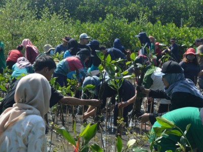 Gambar Monitoring