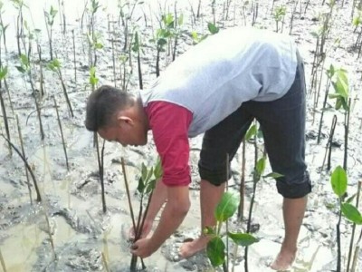 Gambar Monitoring