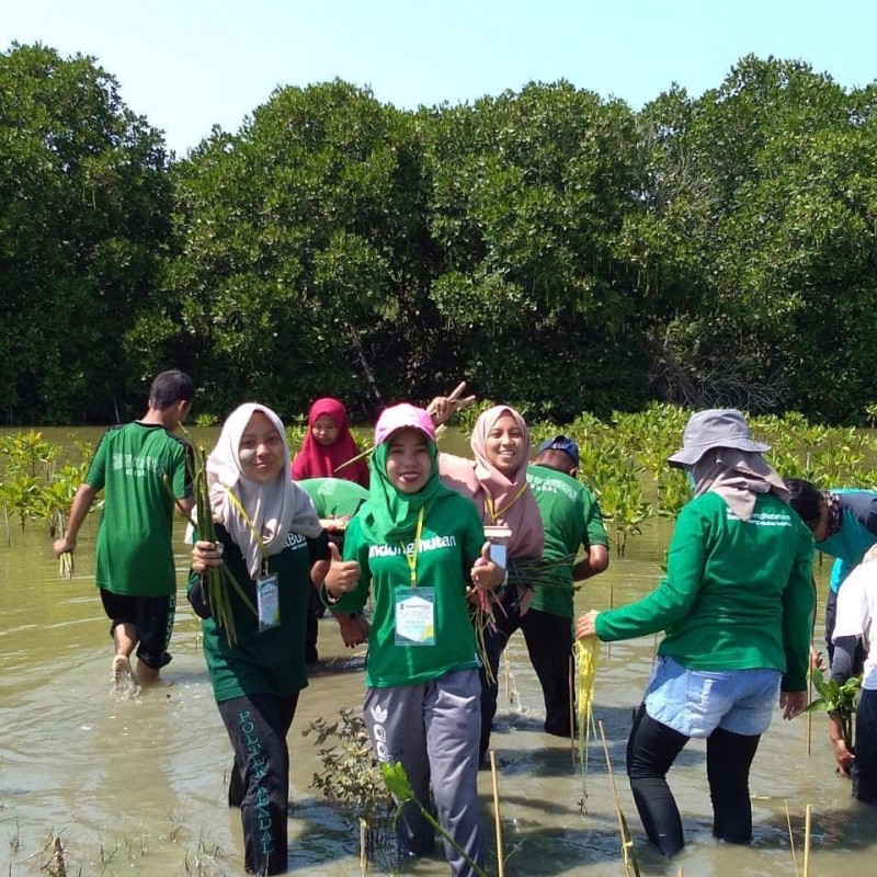Gambar Monitoring