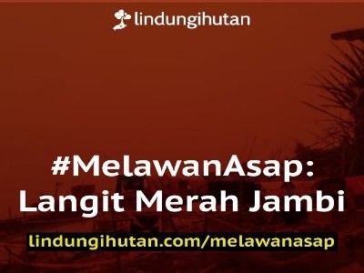 Gambar Monitoring